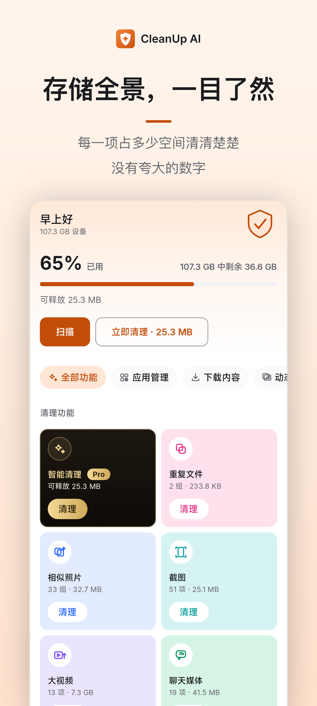 主页存储全景与可释放空间