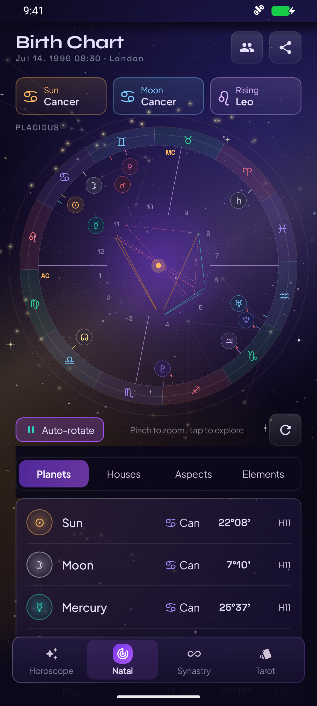 Astral Pulse birth chart with planetary placements